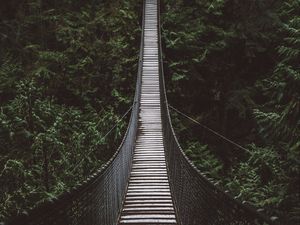 Preview wallpaper bridge, rope bridge, suspension bridge, forest, trees, height