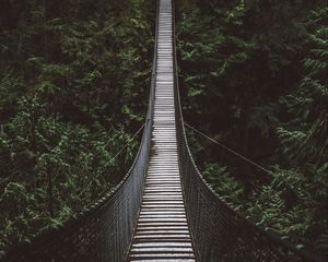 Preview wallpaper bridge, rope bridge, suspension bridge, forest, trees, height