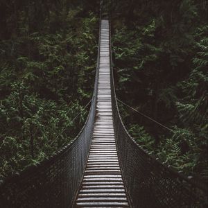 Preview wallpaper bridge, rope bridge, suspension bridge, forest, trees, height