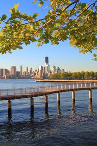 Preview wallpaper bridge, sea, shore, river, buildings, trees