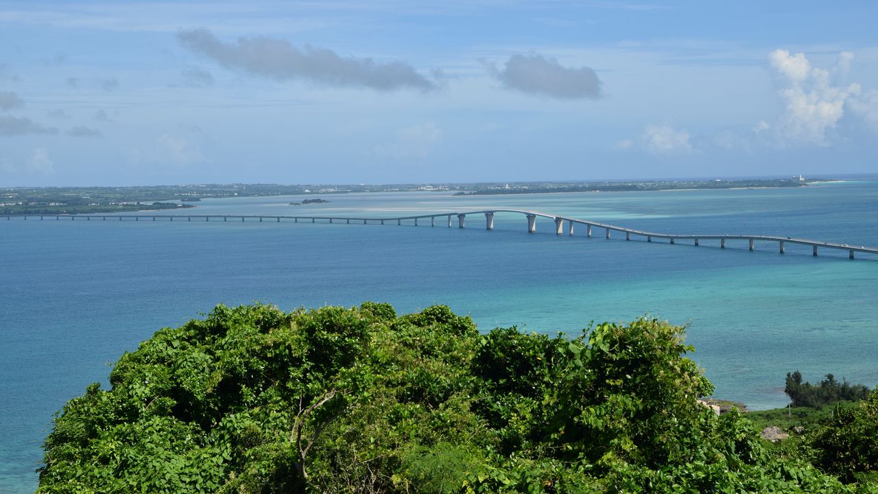 Wallpaper bridge, sea, water, trees