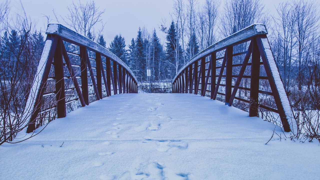 Wallpaper bridge, snow, traces, winter