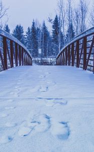 Preview wallpaper bridge, snow, traces, winter