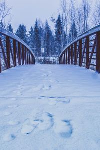 Preview wallpaper bridge, snow, traces, winter