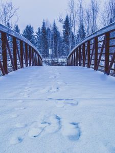 Preview wallpaper bridge, snow, traces, winter