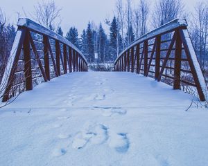 Preview wallpaper bridge, snow, traces, winter