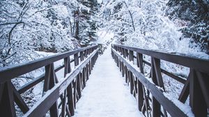 Preview wallpaper bridge, snow, trees, winter, nature