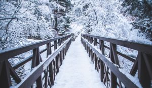 Preview wallpaper bridge, snow, trees, winter, nature