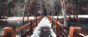 Preview wallpaper bridge, snow, winter, trees, spring