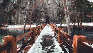 Preview wallpaper bridge, snow, winter, trees, spring