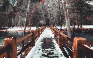 Preview wallpaper bridge, snow, winter, trees, spring