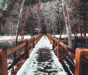 Preview wallpaper bridge, snow, winter, trees, spring
