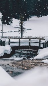Preview wallpaper bridge, snow, winter, tree