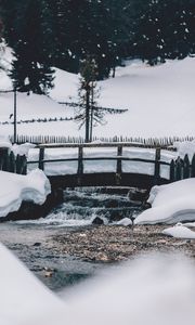 Preview wallpaper bridge, snow, winter, tree