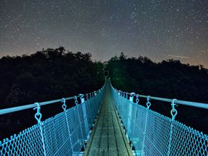 Preview wallpaper bridge, starry sky, stars, trees, night