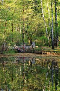 Preview wallpaper bridge, stone, park, pond, trees, wood, leaves, surface, summer