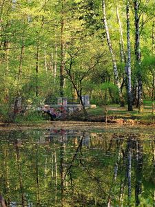 Preview wallpaper bridge, stone, park, pond, trees, wood, leaves, surface, summer