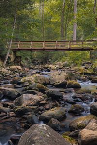 Preview wallpaper bridge, stones, stream, trees