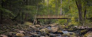 Preview wallpaper bridge, stones, stream, trees