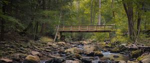 Preview wallpaper bridge, stones, stream, trees