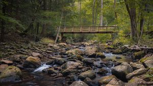 Preview wallpaper bridge, stones, stream, trees