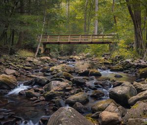 Preview wallpaper bridge, stones, stream, trees