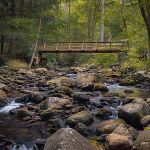 Preview wallpaper bridge, stones, stream, trees