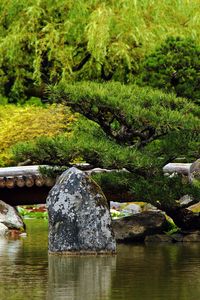 Preview wallpaper bridge, stones, trees, pond, timbered, greens, summer, smooth surface