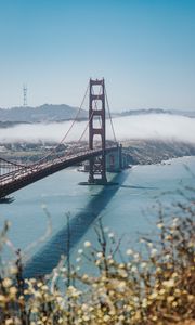 Preview wallpaper bridge, strait, aerial view, coast, fog