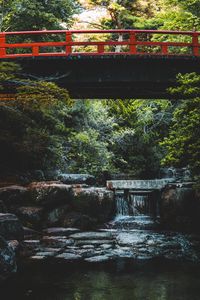 Preview wallpaper bridge, stream, cascade, stones, trees