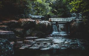 Preview wallpaper bridge, stream, cascade, stones, trees