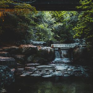 Preview wallpaper bridge, stream, cascade, stones, trees