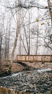 Preview wallpaper bridge, stream, forest, fog, autumn, nature