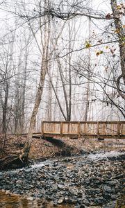 Preview wallpaper bridge, stream, forest, fog, autumn, nature