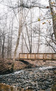 Preview wallpaper bridge, stream, forest, fog, autumn, nature