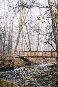 Preview wallpaper bridge, stream, forest, fog, autumn, nature