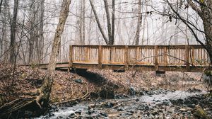 Preview wallpaper bridge, stream, forest, fog, autumn, nature