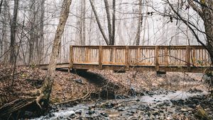 Preview wallpaper bridge, stream, forest, fog, autumn, nature