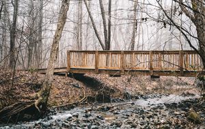 Preview wallpaper bridge, stream, forest, fog, autumn, nature