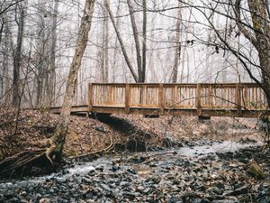 Preview wallpaper bridge, stream, forest, fog, autumn, nature