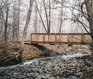 Preview wallpaper bridge, stream, forest, fog, autumn, nature