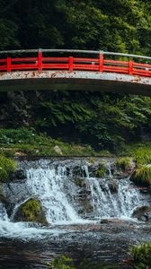 Preview wallpaper bridge, stream, forest, grass, landscape, rust