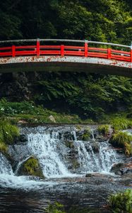 Preview wallpaper bridge, stream, forest, grass, landscape, rust