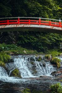 Preview wallpaper bridge, stream, forest, grass, landscape, rust