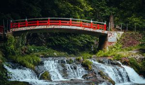 Preview wallpaper bridge, stream, forest, grass, landscape, rust