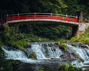 Preview wallpaper bridge, stream, forest, grass, landscape, rust