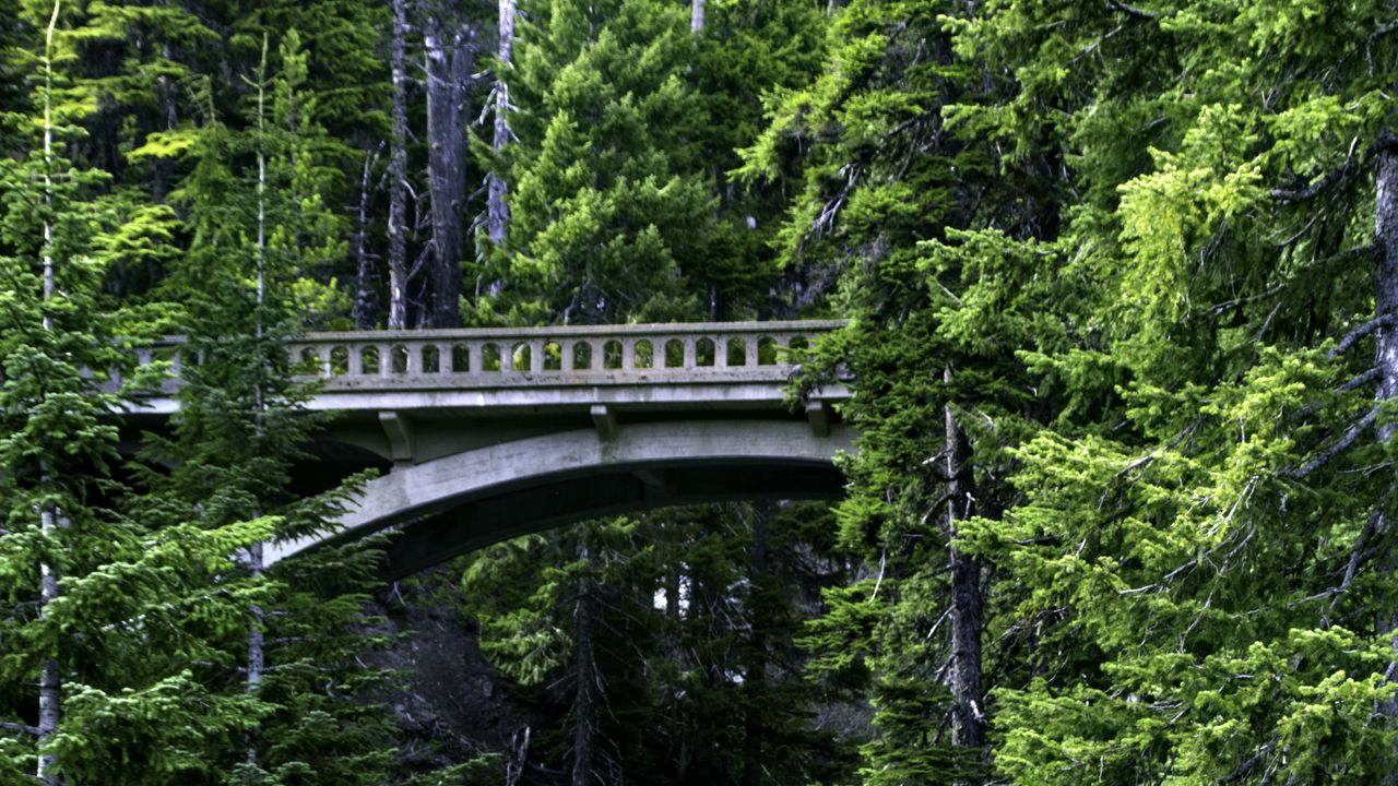 Wallpaper bridge, stream, nature, trees