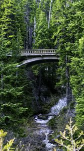 Preview wallpaper bridge, stream, nature, trees