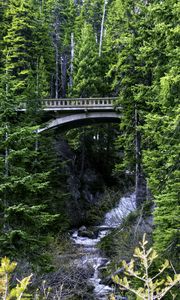 Preview wallpaper bridge, stream, nature, trees