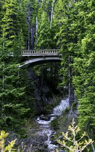 Preview wallpaper bridge, stream, nature, trees